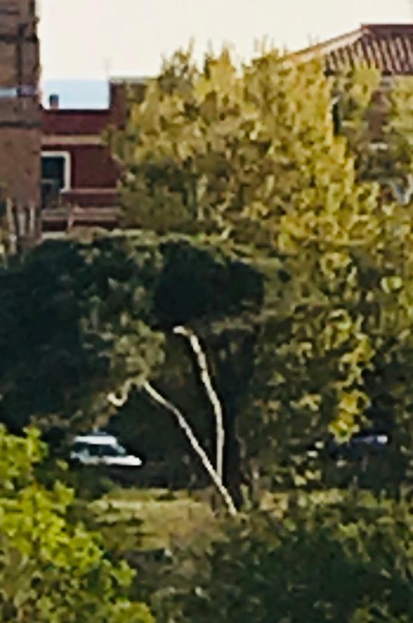 Rome On The Beach Apartment Lido di Ostia Bagian luar foto